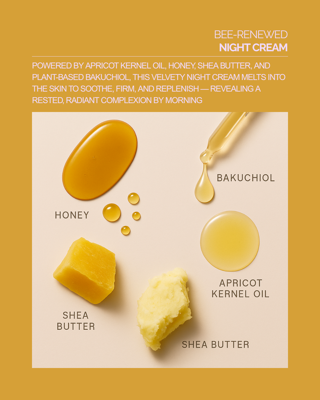 Bee-Renewed Night Cream